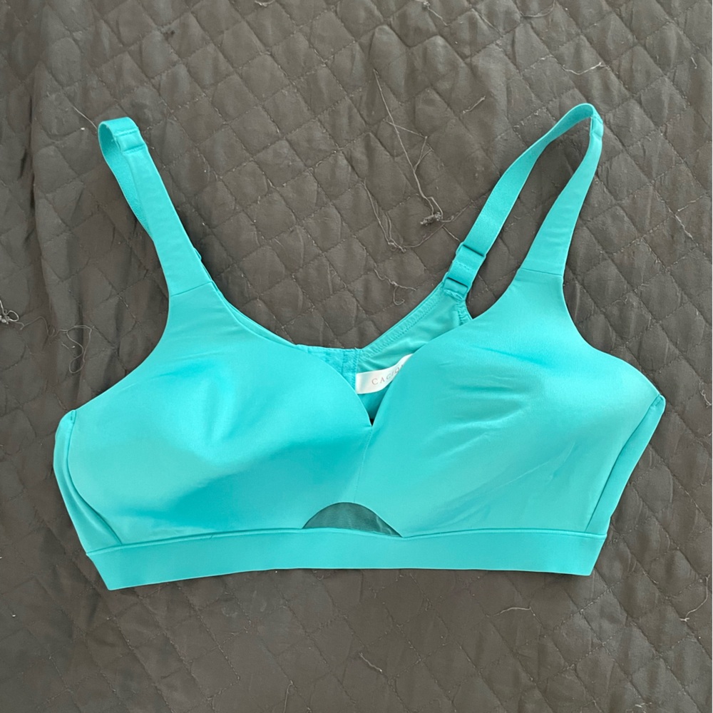 Cacique (Lane Bryant) Bra (44C) no underwire